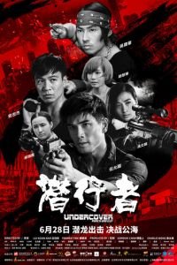 Под прикрытием: Удар и пистолет (2019)
